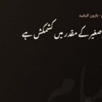 بت خانے کے دروازے پہ سوتا ہے برہمن — ہارون الرشید