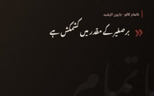 بت خانے کے دروازے پہ سوتا ہے برہمن — ہارون الرشید