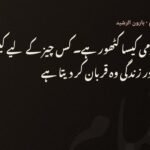 ستاروں کی چھائوں میں — ہارون الرشید